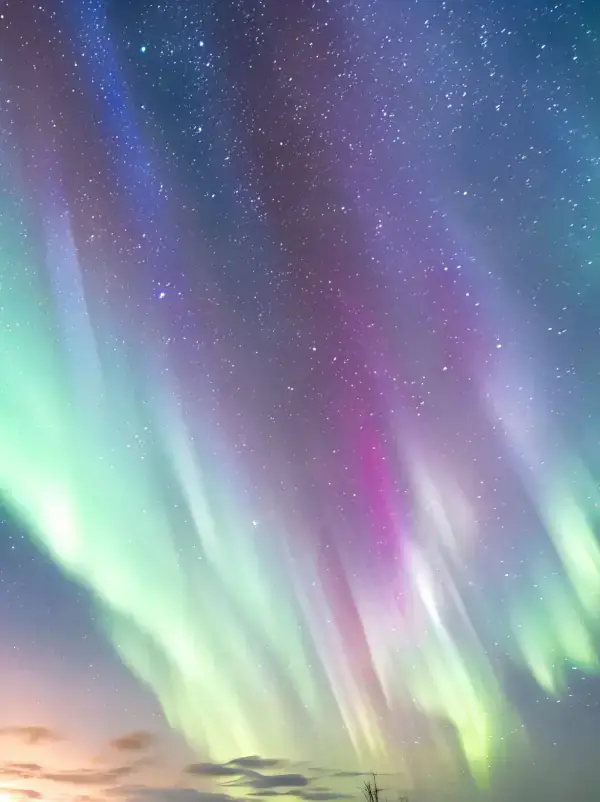 Northern Lights Minibus Chase in Tromsø, Norway - chase the northern lights with a tour