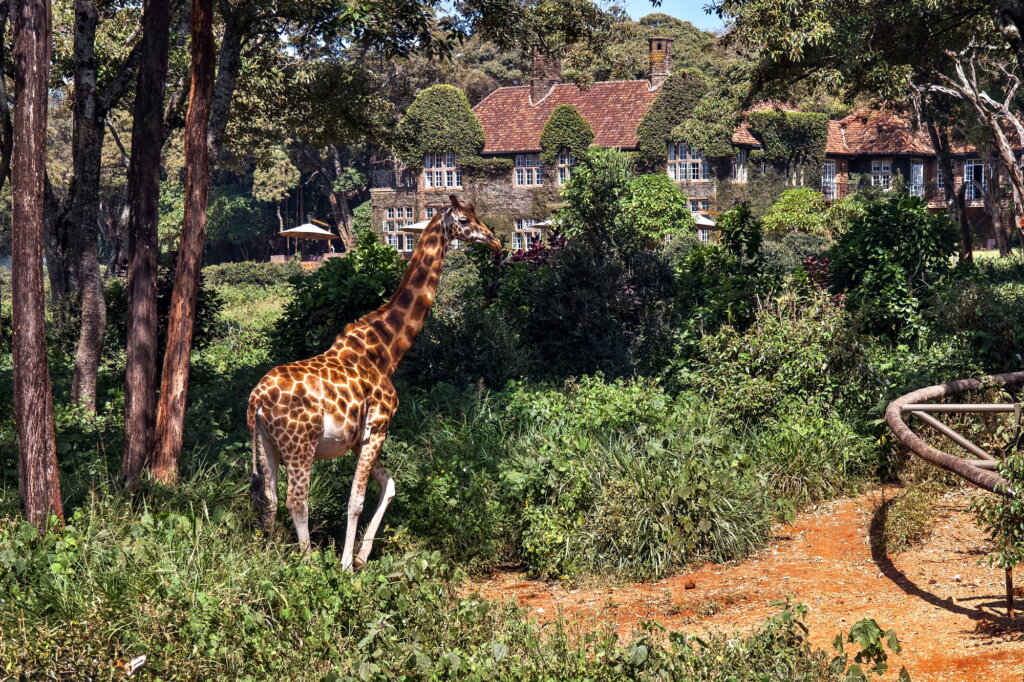 Giraffe Manor