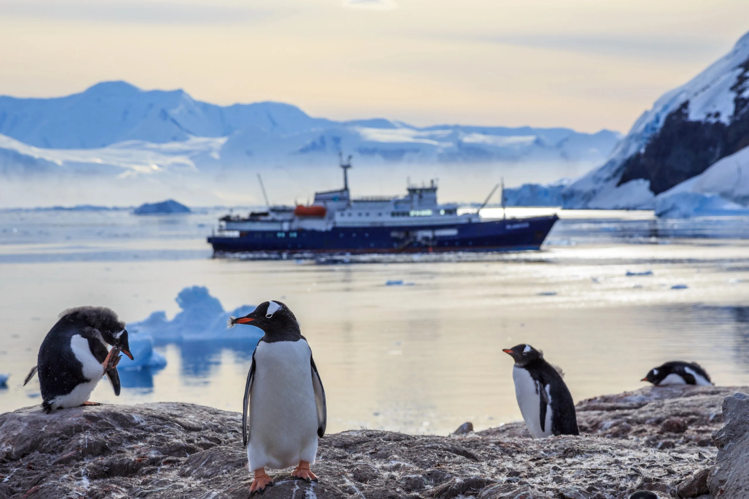 Things to do in Antarctica