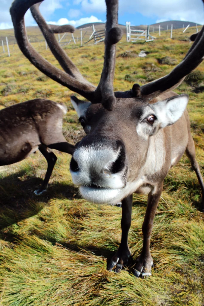 Best Experiences In Scotland