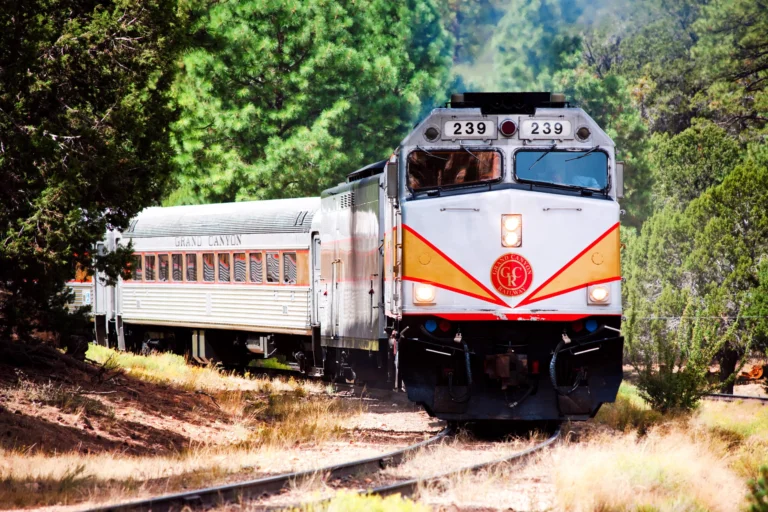 Best Trips in the US for Families