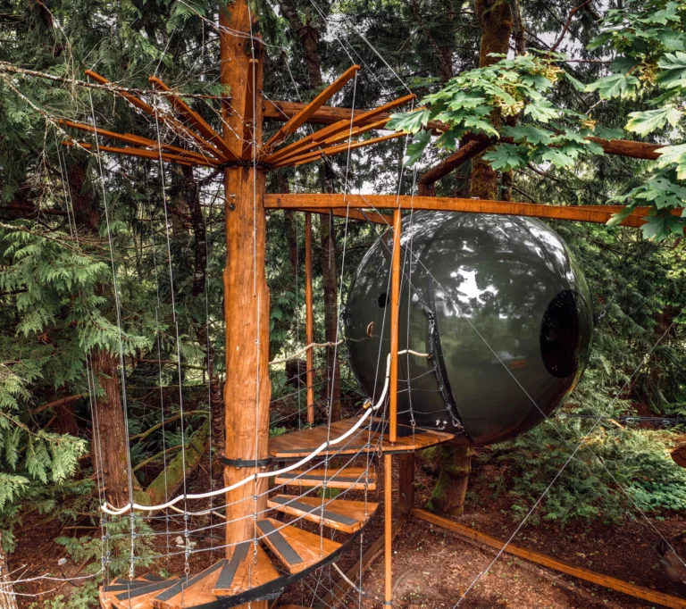 tree house vancouver island