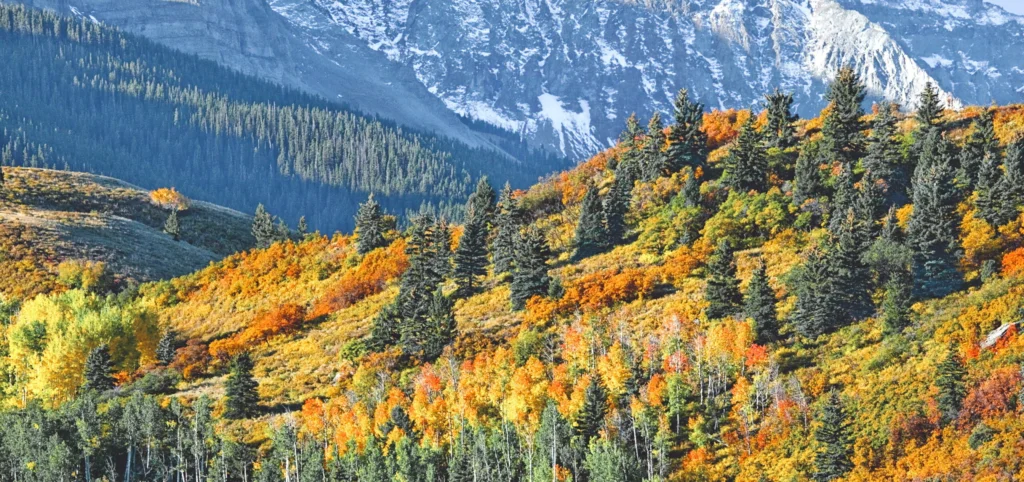 Most European Towns In America