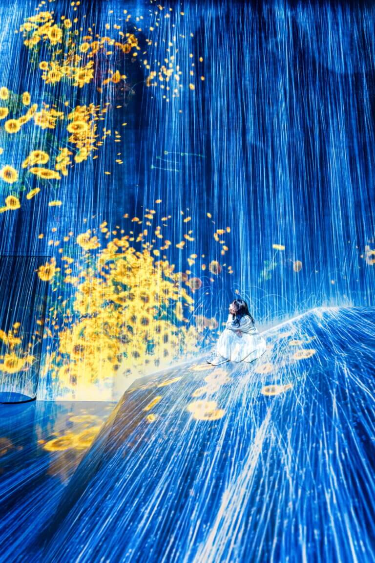 Things To Do In Japan For Young Adults