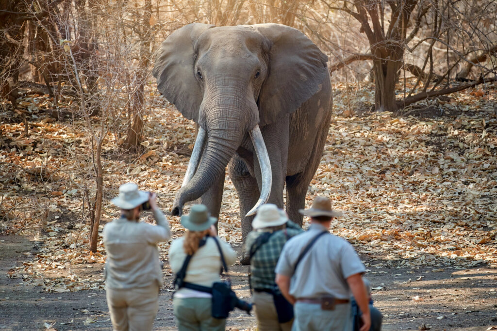 best adventure travel destinations