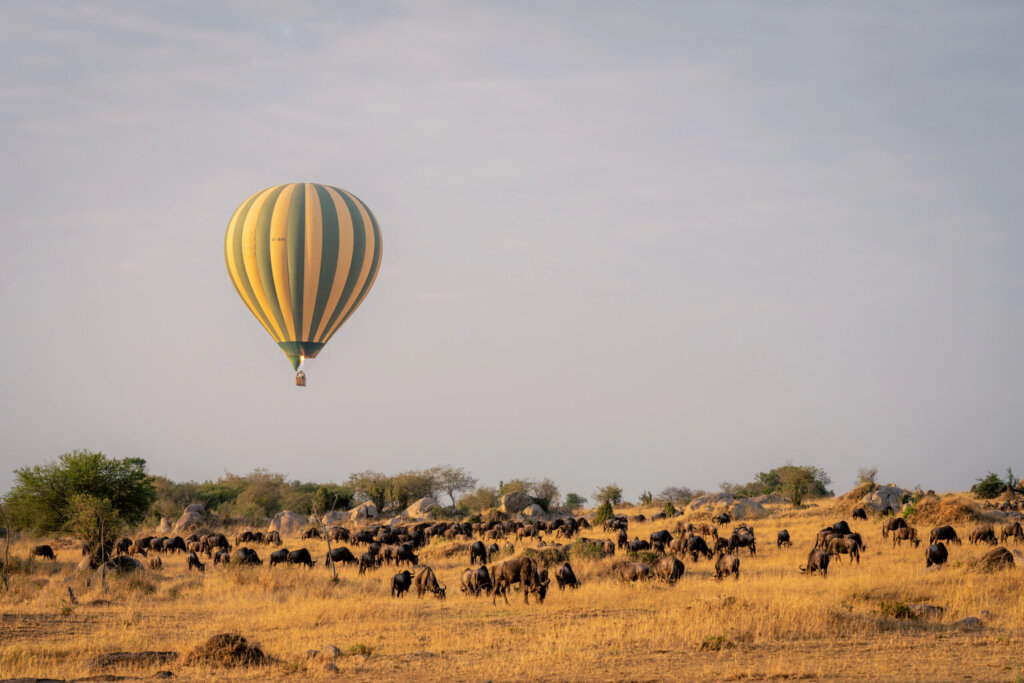 where to go for a hot air balloon ride