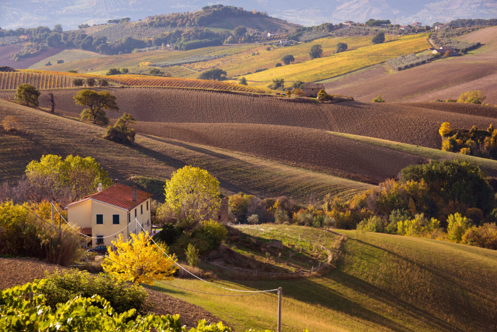 wellness retreats for women