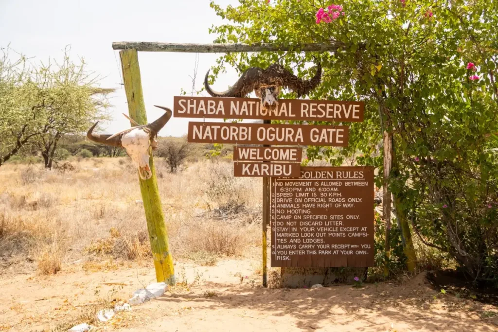 most dangerous survivor locations copy