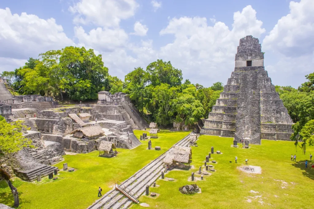 survivor locations in order