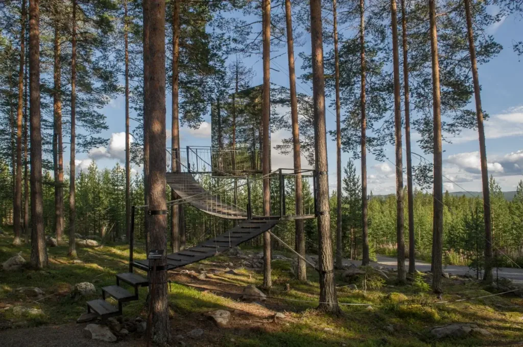 treehotel mirrorcube sweden