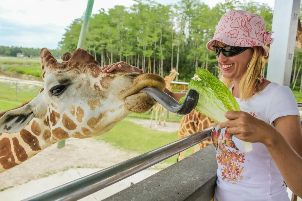 west palm beach animal safari