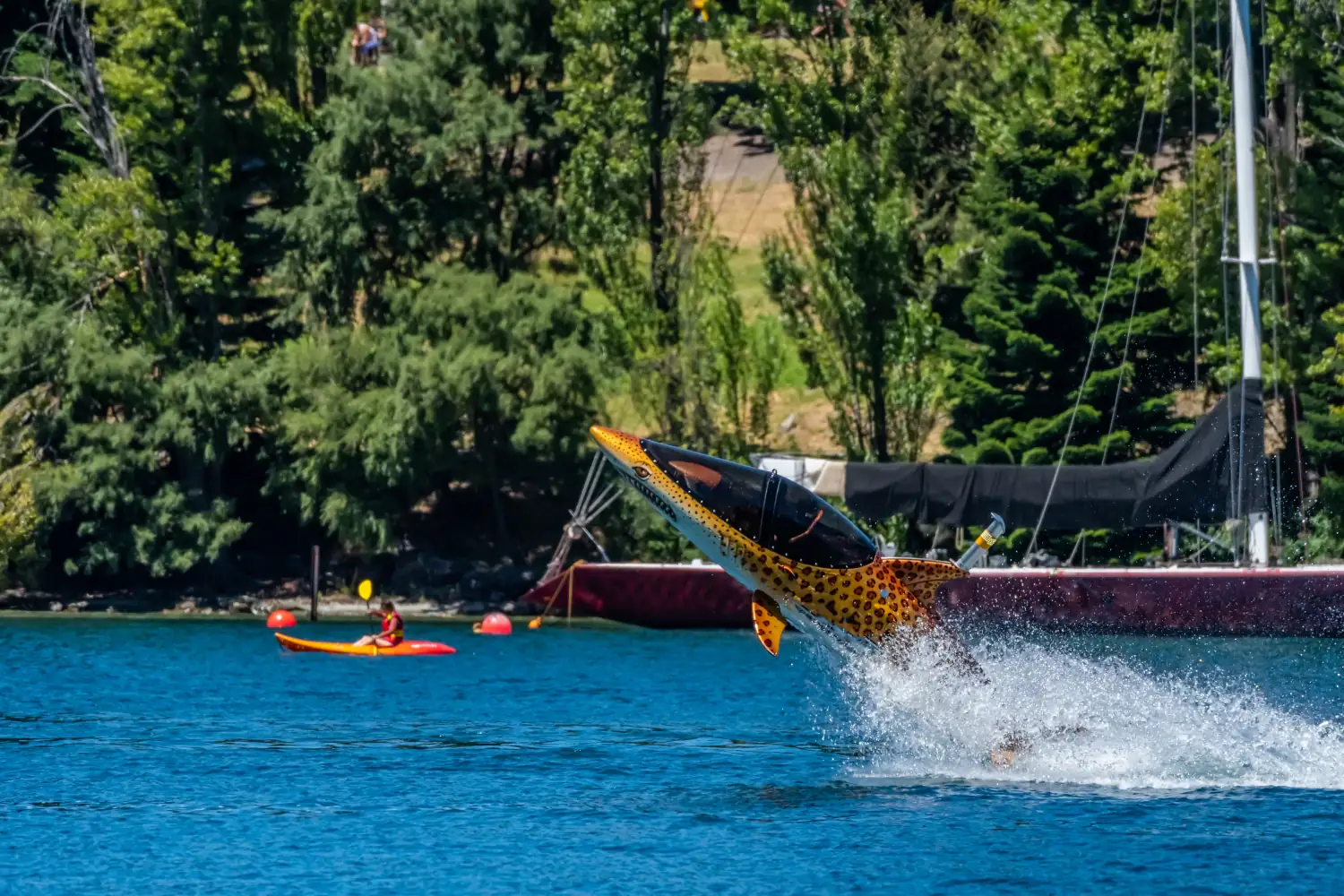 bucket list activities