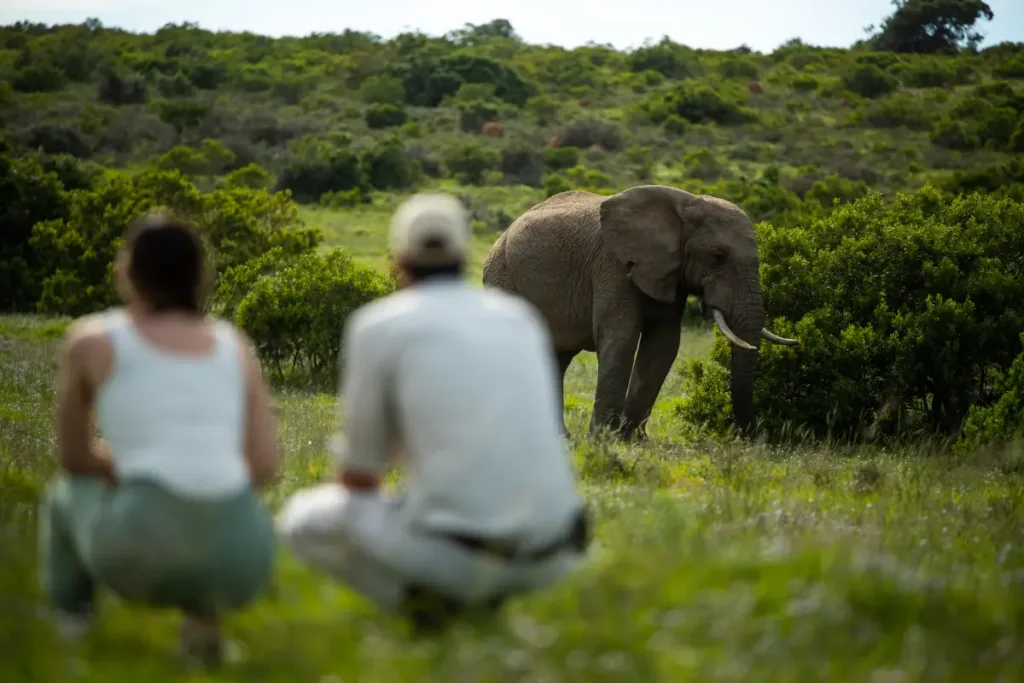 gorah elephant camp