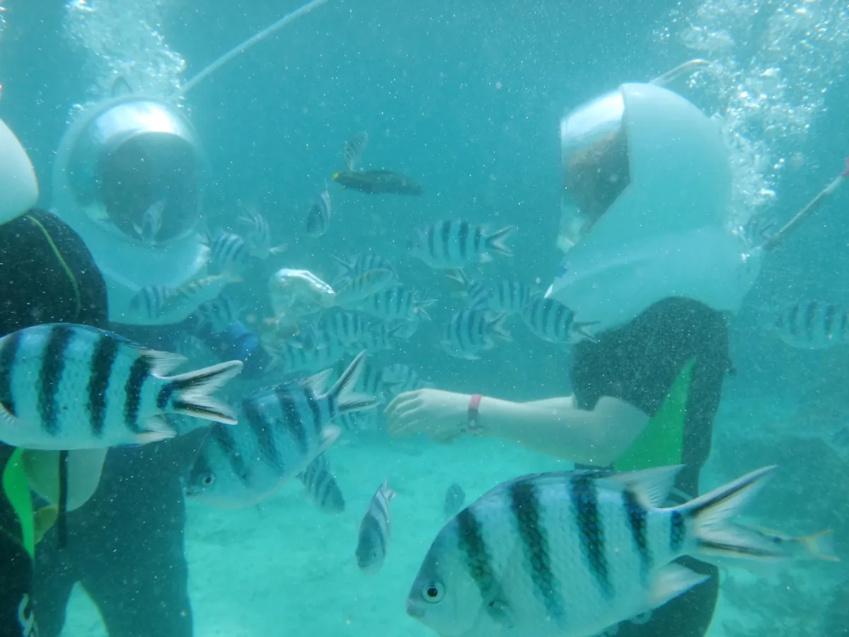 once in a lifetime experiences