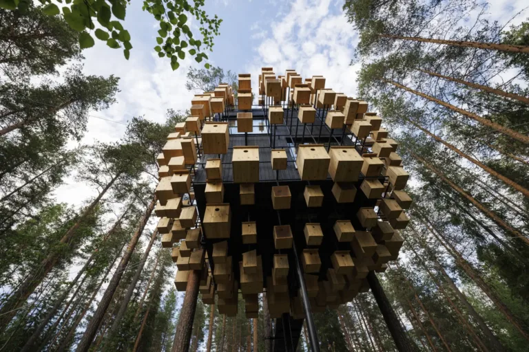 treehotel sweden