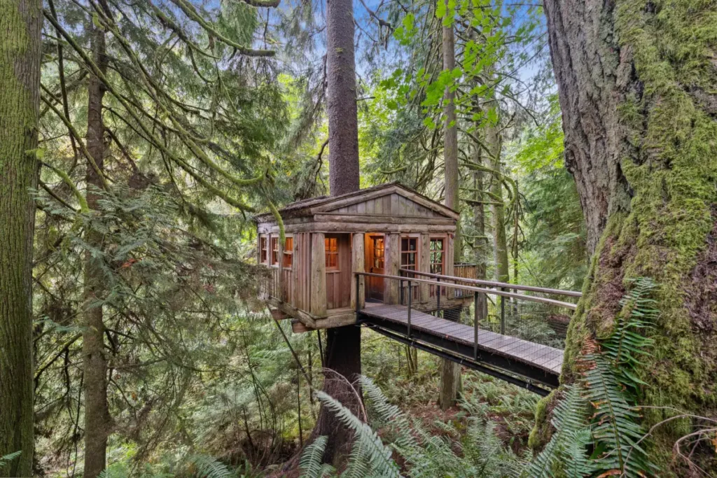 treehouse point