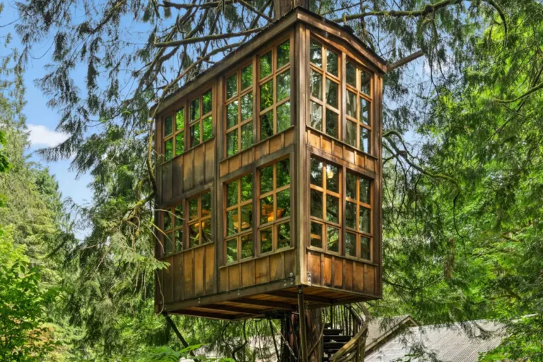 treehouse point washington
