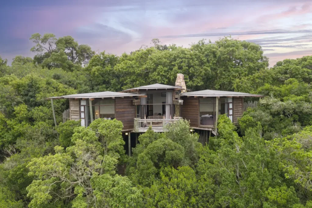 tsala treetop lodge