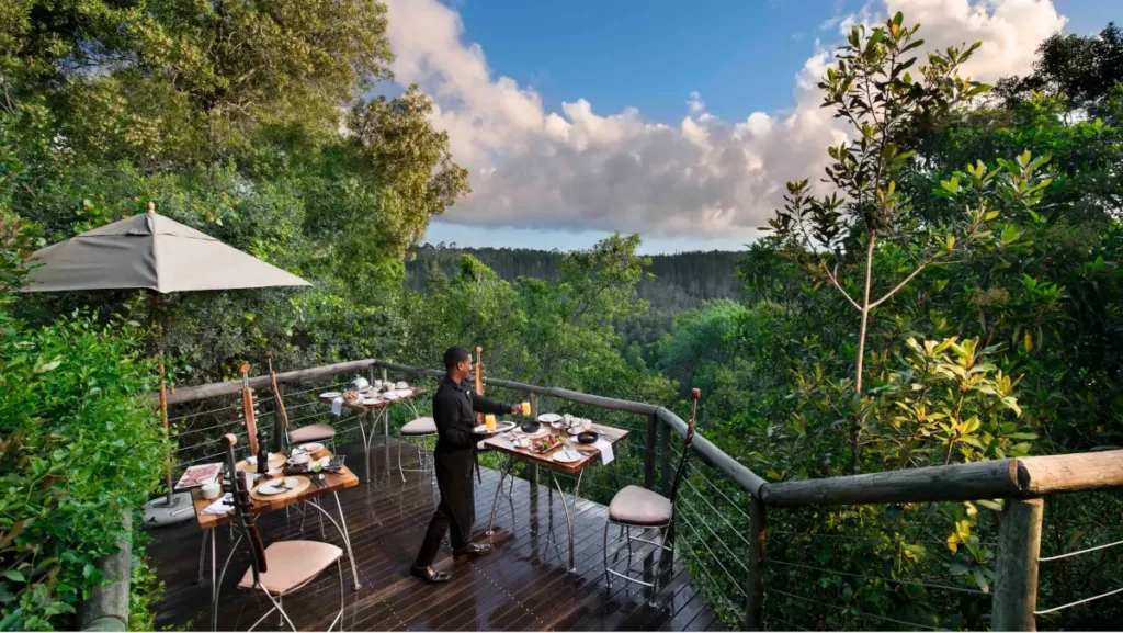 tsala treetop lodge restaurant