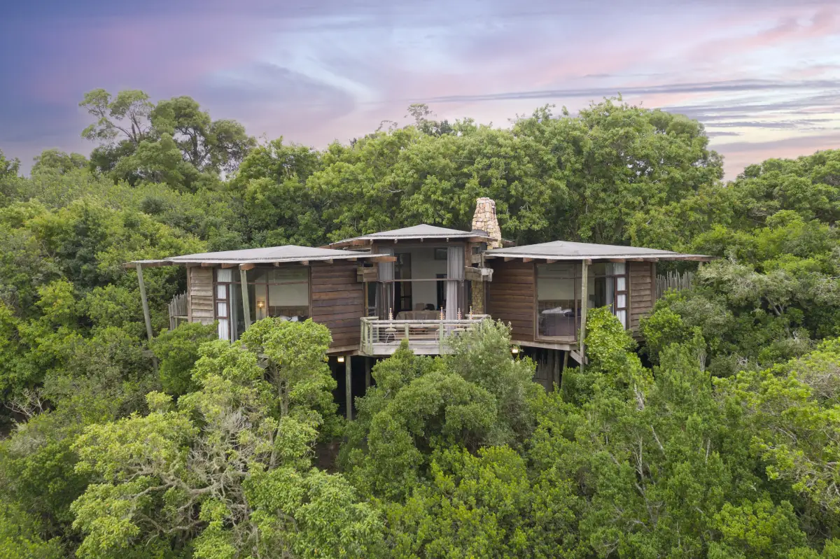 tsala treetop lodge