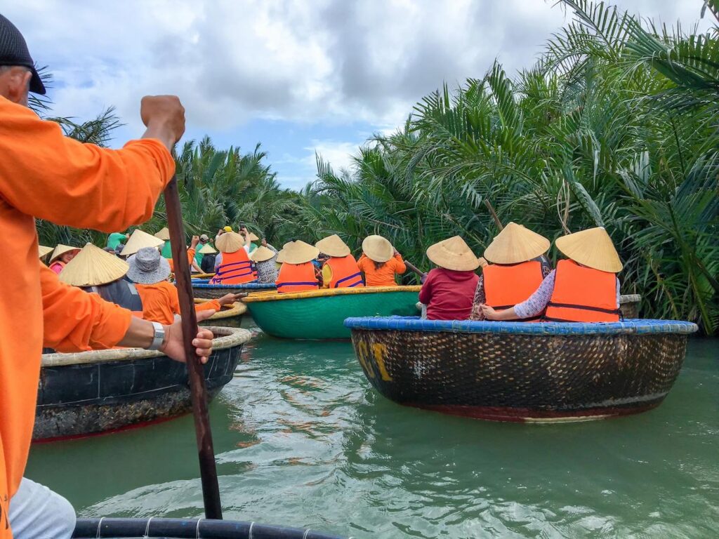 coconut forest