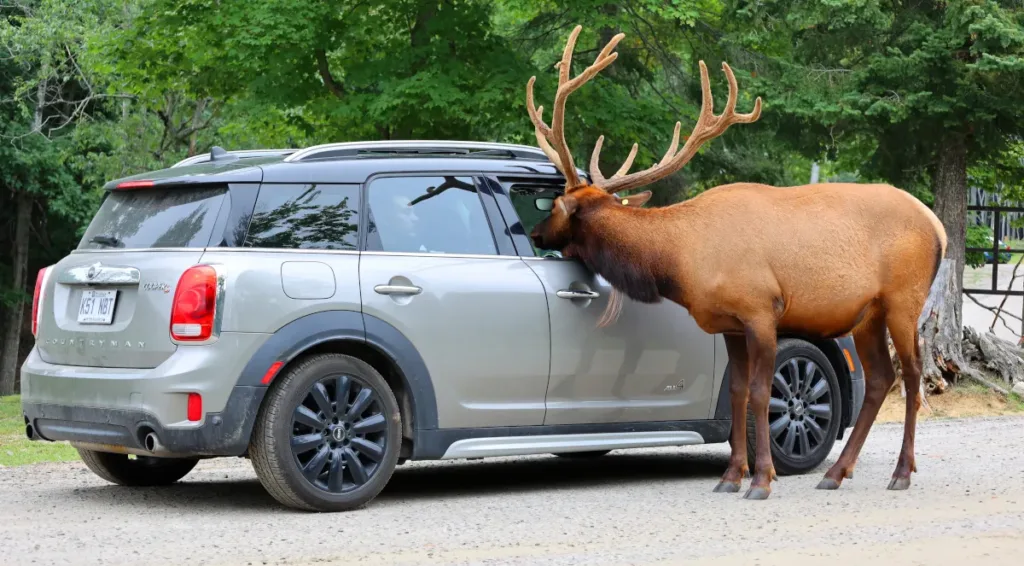 parc omega quebec