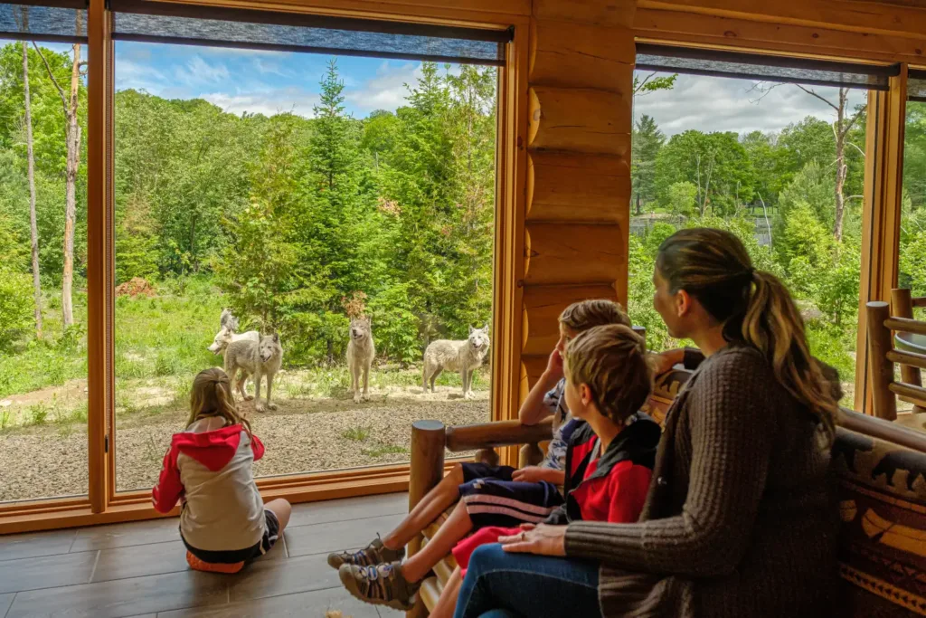 parc omega wolf cabin canada