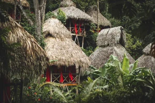 dominican tree house village