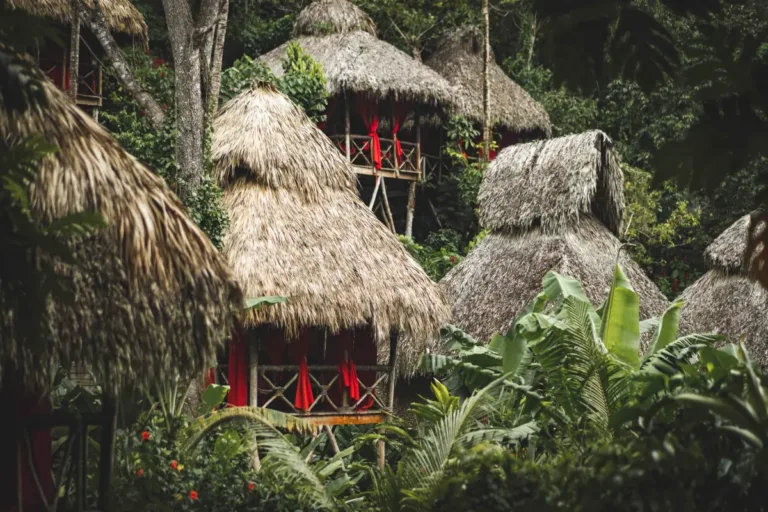 dominican tree house village