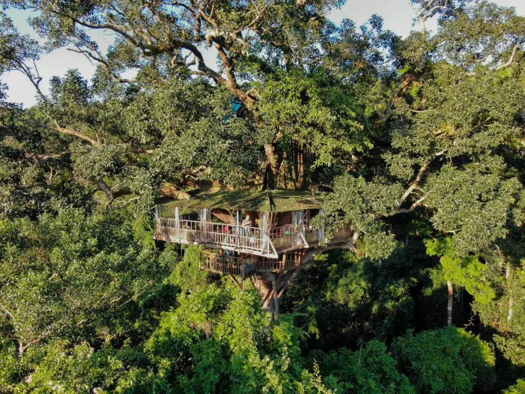 gibbon experience laos cost