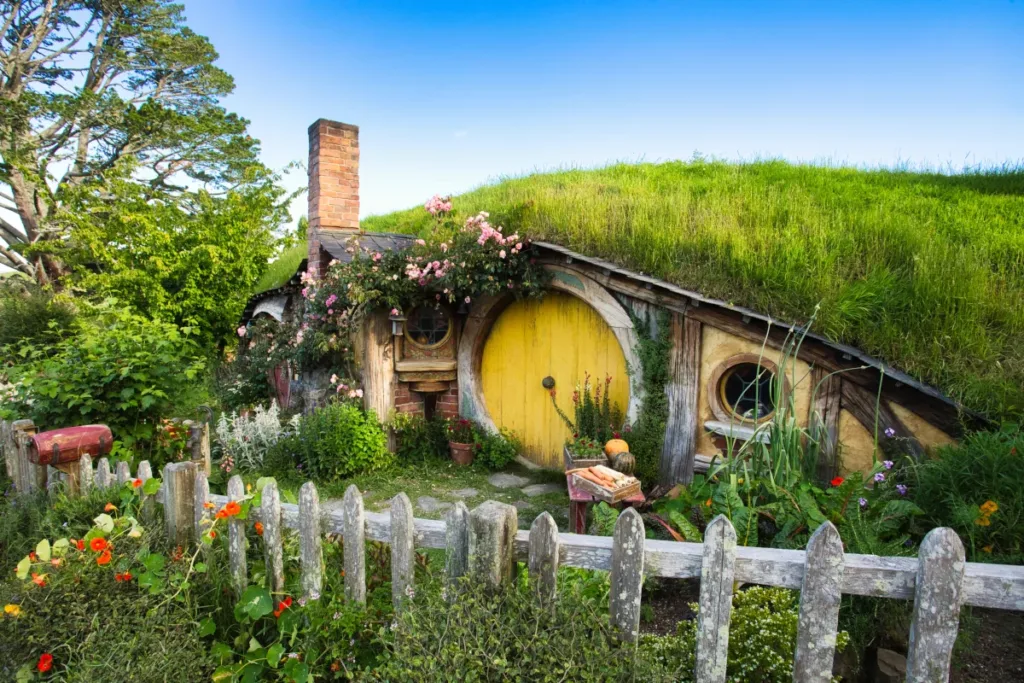 new zealand bucket list experiences