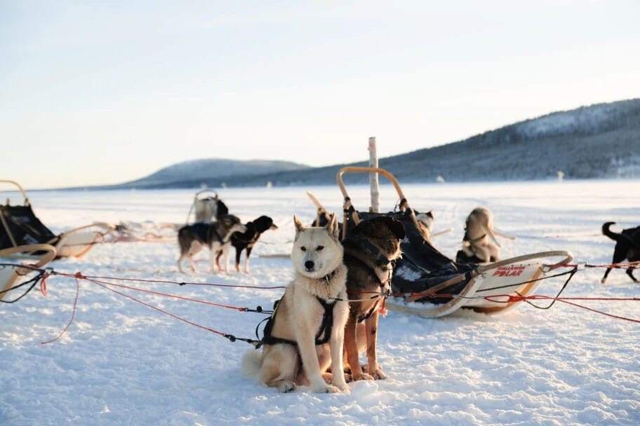 sweden winter travel