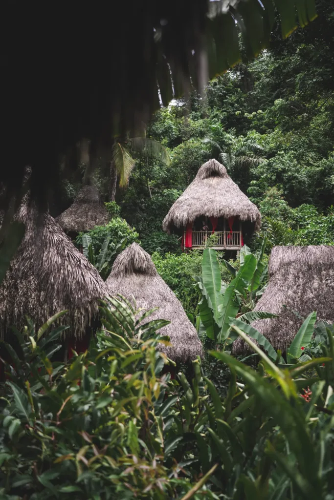 tree house samana